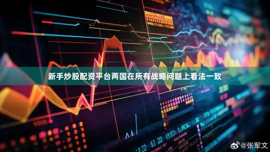 新手炒股配资平台两国在所有战略问题上看法一致