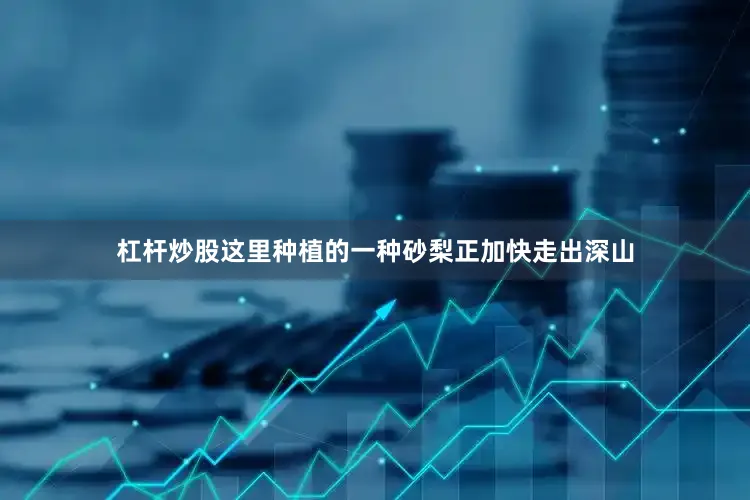 杠杆炒股这里种植的一种砂梨正加快走出深山